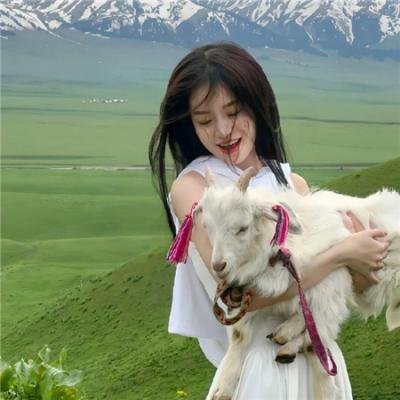 动态漫画·月魁传